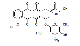 盐酸表阿霉素